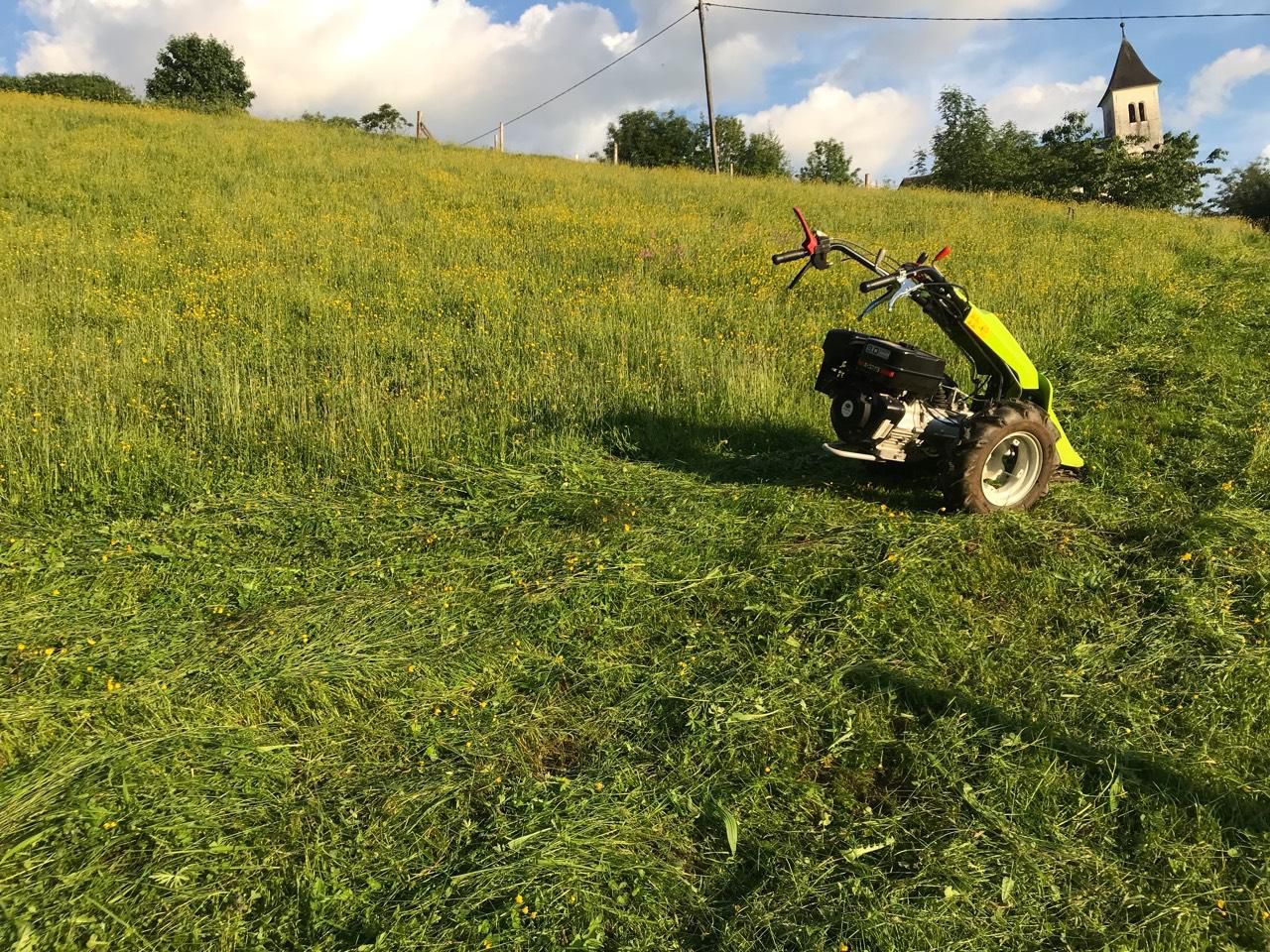 Unkrautbeseitigung & Solarparkpflege Bild 2
